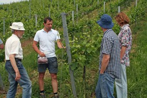 con_s_all-jahr_im_weinberg-ausbrechen-img_8269.jpg