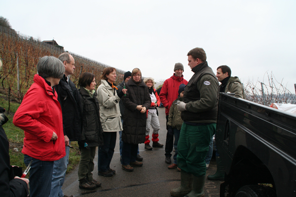 con_s_all-jahr_im_weinberg-reben_schneiden-01_helfer_treffen_ein.jpg