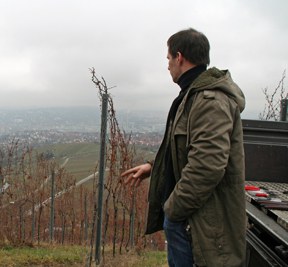 con_s_all-jahr_im_weinberg-reben_schneiden-04_das_ist_unser_weinberg.jpg