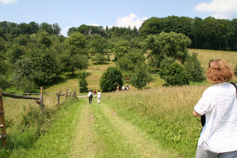 con_s_all-jahr_im_weinberg-laubarbeiten-oldtimertour-img_8483.jpg