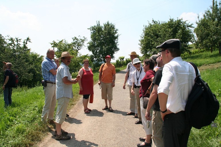 con_s_all-jahr_im_weinberg-laubarbeiten-oldtimertour-img_8495.jpg