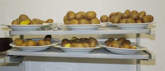cv_suedltw-kartoffelteller_wide.jpg cv_suedltw-kartoffelteller_wide.jpg