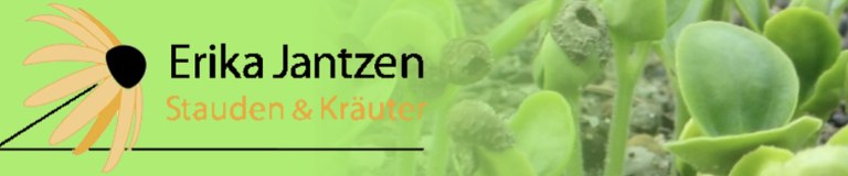 Jantzen.jpg