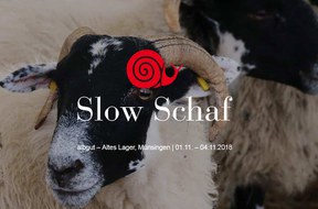 con_tue_b288-mv-2018-slowschaf2018.jpg