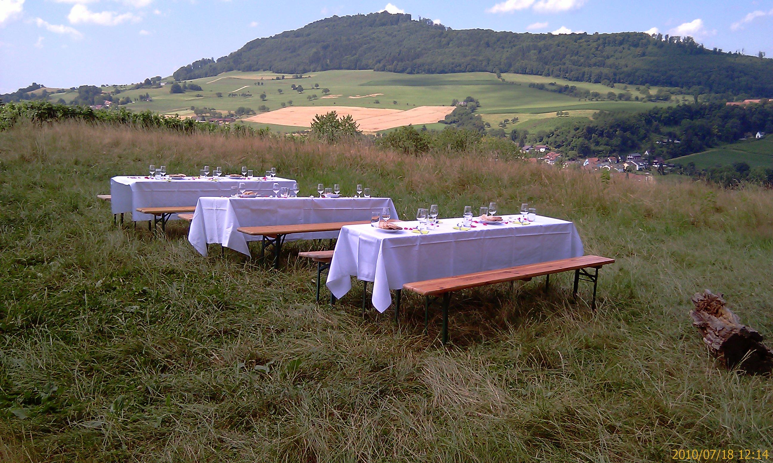 freiburg-sommerfest_1.jpg