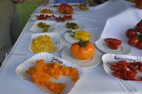 weimar-gartenparty_10_jahre-dsc5017.jpg