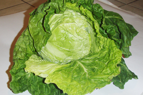 aktuelles-aktuelles_2014-bamberger_wirsing_288_c_gerd_sych.jpg aktuelles-aktuelles_2014-bamberger_wirsing_288_c_gerd_sych.jpg