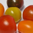 kinder-_und_jugendliche-tomaten_112.jpg kinder-_und_jugendliche-tomaten_112.jpg