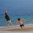 newsletter-biodyssey.jpg newsletter-biodyssey.jpg