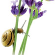 newsletter-sommerreise_termine_112.jpg newsletter-sommerreise_termine_112.jpg