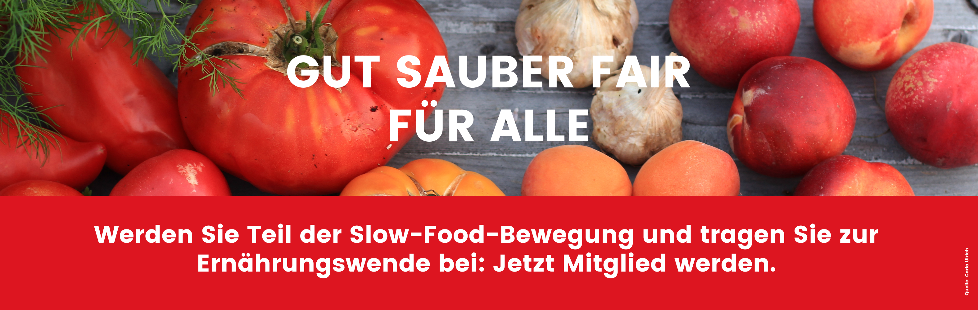 Banner jpeg