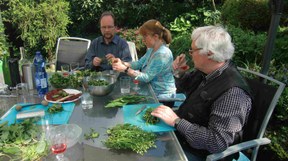 con_ac_b288-kraeuterverarbeitung2.jpg con_ac_b288-kraeuterverarbeitung2.jpg