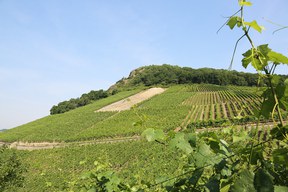 con_berg_land-8b7a9776_2.jpg con_berg_land-8b7a9776_2.jpg