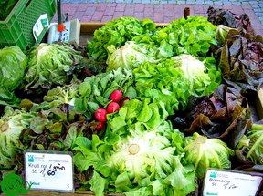 1_owl-va_2015-08_sf_abendmarkt_salatvielfalt_08_2015_633.jpg 1_owl-va_2015-08_sf_abendmarkt_salatvielfalt_08_2015_633.jpg