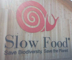 1_owl-va_2015-schnecke_ohne.png 1_owl-va_2015-schnecke_ohne.png
