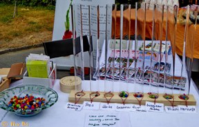 1_owl-va_2015-va_2016-07_infotisch_eisbrenner_meinungsbarometer_09_2016_015_kl.jpg 1_owl-va_2015-va_2016-07_infotisch_eisbrenner_meinungsbarometer_09_2016_015_kl.jpg