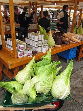 herne-herne_2014-5filderkraut.jpg herne-herne_2014-5filderkraut.jpg