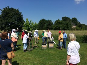 herne-img_8746.jpg herne-img_8746.jpg
