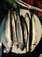 herne-01_baltic-sea-997831_340.jpg herne-01_baltic-sea-997831_340.jpg