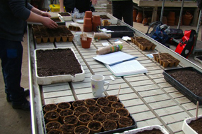 aktionen_2015-1_cv_ol_bunkergarten_3.jpg aktionen_2015-1_cv_ol_bunkergarten_3.jpg