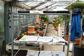 aktionen_2015-cv_ol_bunkergarten_5.jpg aktionen_2015-cv_ol_bunkergarten_5.jpg