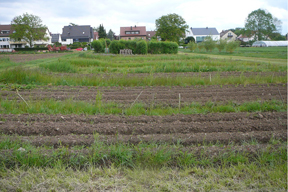 aktionen_2015-garten_1_288.jpg aktionen_2015-garten_1_288.jpg