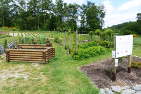 aktionen_2015-357_slowfoodgarten.jpg aktionen_2015-357_slowfoodgarten.jpg