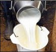con_ka_b288-milchkanne.jpg con_ka_b288-milchkanne.jpg