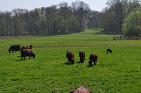 leipzig-sahr2.jpg leipzig-sahr2.jpg