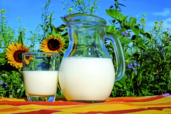 Thema: Milch - Besuch auf Gut Rothenhausen