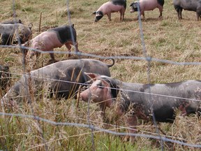 con_mr-slowfood_wanderung_007.jpg con_mr-slowfood_wanderung_007.jpg
