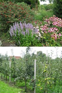 muenster-2011-2er_k.jpg muenster-2011-2er_k.jpg