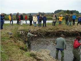 con_n_b288-karpfen_fischen.jpeg Blick auf die Arche