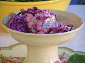 con_n_b288-garten3.jpg Feierliche Eröffnung