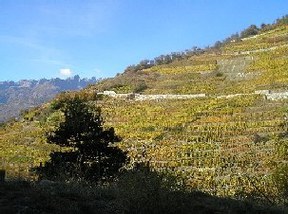 con_n_b288-schweiz1.jpg con_n_b288-schweiz1.jpg