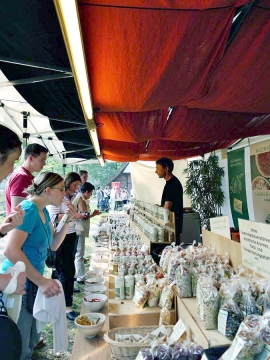 oldenburg-gin2.jpg oldenburg-gin2.jpg