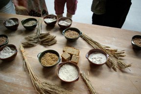con_os_b288-con_os_b288_5-mehl_brot2.jpg Teeauswahl