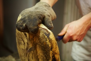 bilder_17-1_jaques.jpeg bilder_17-1_jaques.jpeg