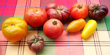 con_hd-220px-various_tomatoes.jpg