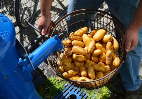 schwaebische_donau-good_food_march_1.jpg schwaebische_donau-good_food_march_1.jpg