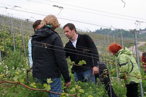 con_s_all-jahr_im_weinberg-ausbrechen-img_8203.jpg con_s_all-jahr_im_weinberg-ausbrechen-img_8203.jpg