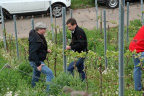 con_s_all-jahr_im_weinberg-ausbrechen-img_8216.jpg con_s_all-jahr_im_weinberg-ausbrechen-img_8216.jpg