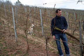 con_s_all-jahr_im_weinberg-reben_binden-img_8011_und_jetzt_sie.jpg con_s_all-jahr_im_weinberg-reben_binden-img_8011_und_jetzt_sie.jpg