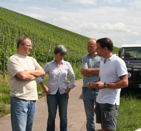 con_s_all-jahr_im_weinberg-ausbrechen-img_8419.jpg con_s_all-jahr_im_weinberg-ausbrechen-img_8419.jpg