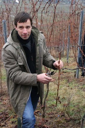 con_s_all-jahr_im_weinberg-reben_schneiden-1_reben_schneiden_ist_einfach.jpg con_s_all-jahr_im_weinberg-reben_schneiden-1_reben_schneiden_ist_einfach.jpg