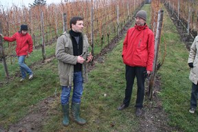 con_s_all-jahr_im_weinberg-reben_schneiden-20_naechstes_mal_binden_wir.jpg con_s_all-jahr_im_weinberg-reben_schneiden-20_naechstes_mal_binden_wir.jpg