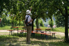 con_s_all-jahr_im_weinberg-laubarbeiten-oldtimertour-img_8505.jpg con_s_all-jahr_im_weinberg-laubarbeiten-oldtimertour-img_8505.jpg