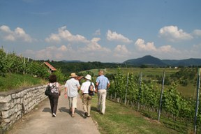 con_s_all-jahr_im_weinberg-laubarbeiten-oldtimertour-img_8586.jpg con_s_all-jahr_im_weinberg-laubarbeiten-oldtimertour-img_8586.jpg