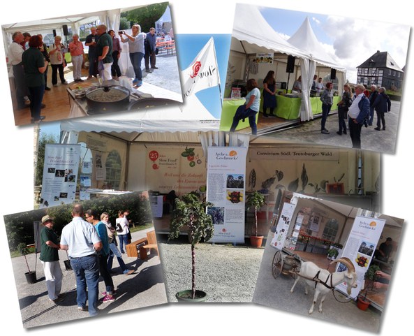 immer was los am SlowFood Stand cv_suedltw-lipa_2018-freigen2018c.jpg