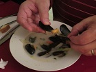 cv_taunus_plus_westerwald-2015-01-17_kochen_muscheln_-_klein.jpg cv_taunus_plus_westerwald-2015-01-17_kochen_muscheln_-_klein.jpg